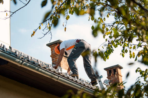Best Roof Gutter Cleaning  in Verona, KY